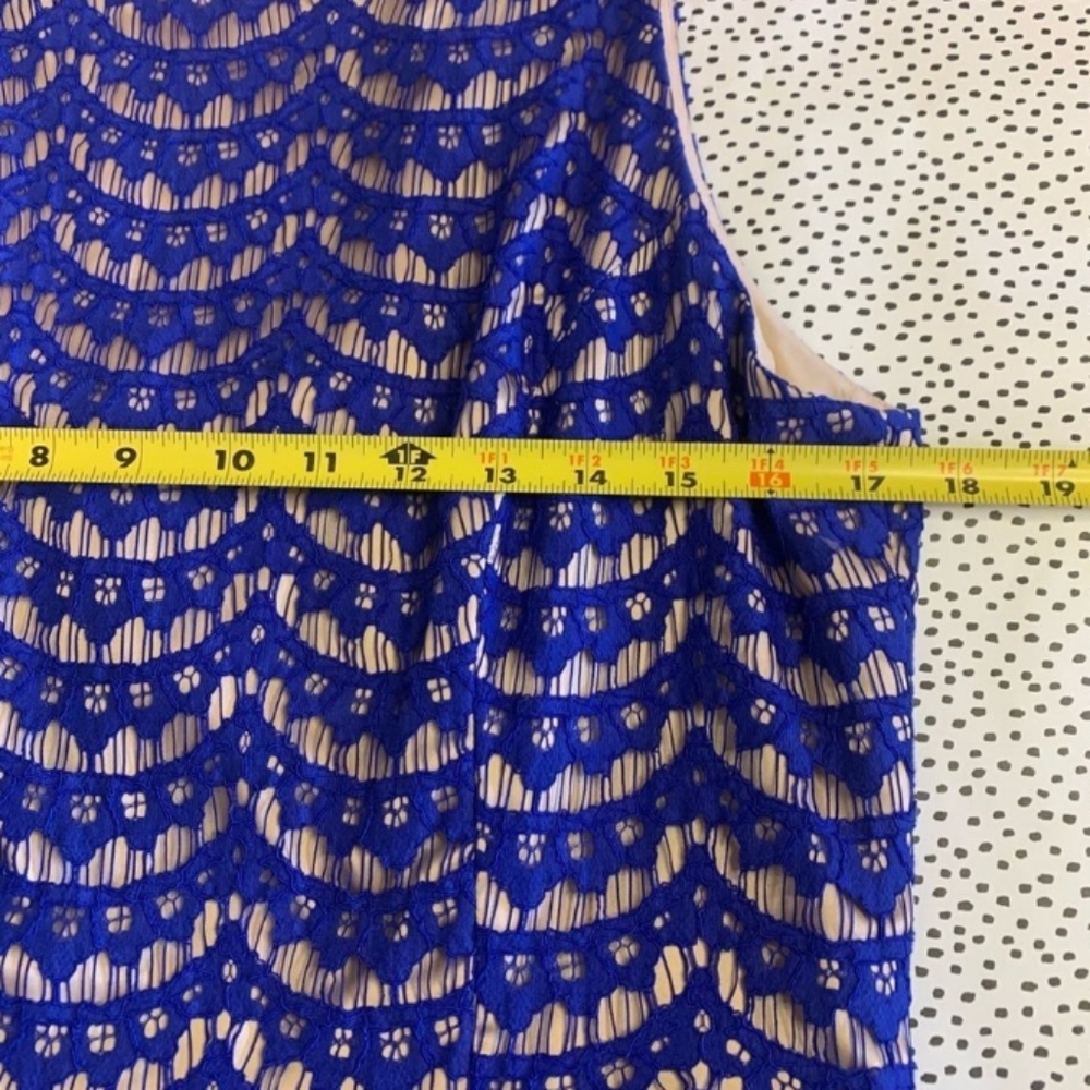Eliza J Blue Lace Cobolt Blue Fit Flare Dress 14 - Picture 8 of 14